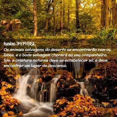 Picture 02 - Isaías 34:14 BSL - Os animais selvagens do deserto se encontrarão - Bible Verse Picture