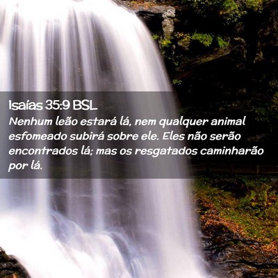 Picture 02 - Isaías 35:9 BSL - Nenhum leão estará lá, nem qualquer animal - Bible Verse Picture