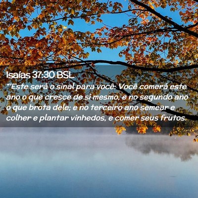 Picture 02 - Isaías 37:30 BSL - “'Este será o sinal para você: Você comerá - Bible Verse Picture