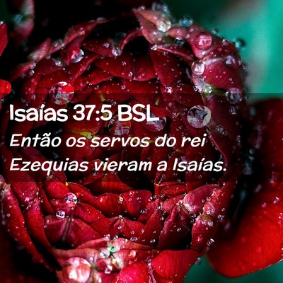 Picture 02 - Isaías 37:5 BSL - Então os servos do rei Ezequias vieram a - Bible Verse Picture