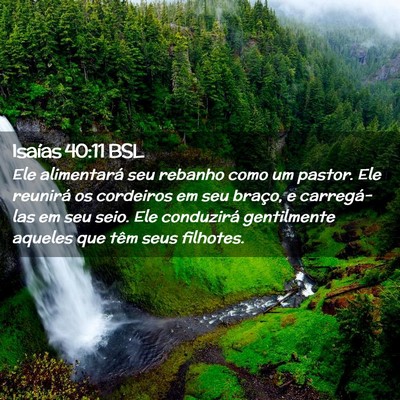 Picture 02 - Isaías 40:11 BSL - Ele alimentará seu rebanho como um pastor. Ele - Bible Verse Picture