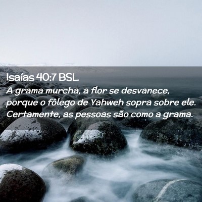 Picture 02 - Isaías 40:7 BSL - A grama murcha, a flor se desvanece, porque o - Bible Verse Picture