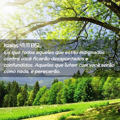 Picture 02 - Isaías 41:11 BSL - Eis que todos aqueles que estão indignados - Bible Verse Picture