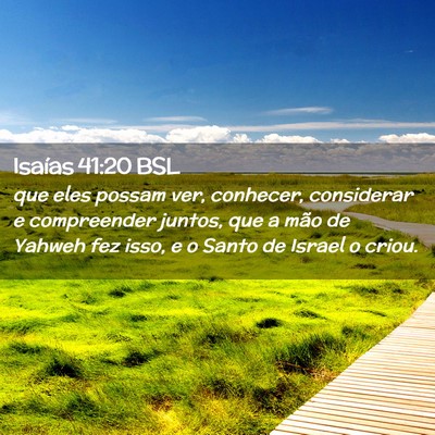 Picture 02 - Isaías 41:20 BSL - que eles possam ver, conhecer, considerar e - Bible Verse Picture
