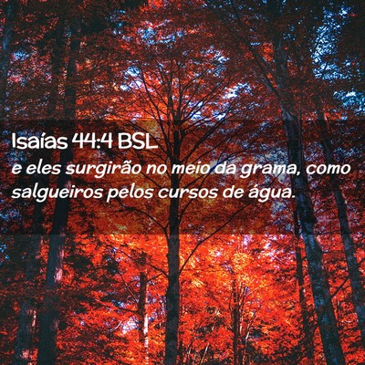 Picture 02 - Isaías 44:4 BSL - e eles surgirão no meio da grama, como - Bible Verse Picture