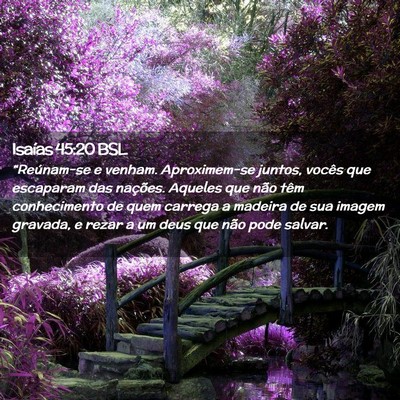 Picture 02 - Isaías 45:20 BSL - “Reúnam-se e venham. Aproximem-se juntos, - Bible Verse Picture