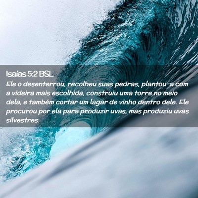Picture 02 - Isaías 5:2 BSL - Ele o desenterrou, recolheu suas pedras, - Bible Verse Picture