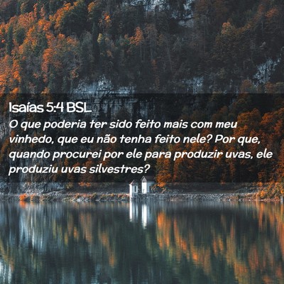 Picture 02 - Isaías 5:4 BSL - O que poderia ter sido feito mais com meu - Bible Verse Picture