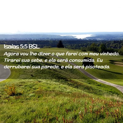 Picture 02 - Isaías 5:5 BSL - Agora vou lhe dizer o que farei com meu vinhedo. - Bible Verse Picture