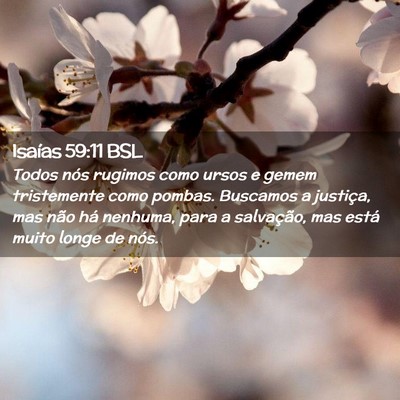 Picture 02 - Isaías 59:11 BSL - Todos nós rugimos como ursos e gemem tristemente - Bible Verse Picture