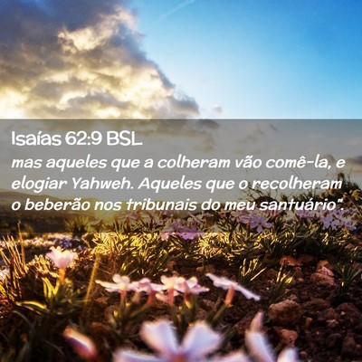 Picture 02 - Isaías 62:9 BSL - mas aqueles que a colheram vão comê-la, e - Bible Verse Picture