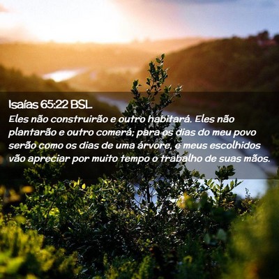 Picture 02 - Isaías 65:22 BSL - Eles não construirão e outro habitará. Eles - Bible Verse Picture