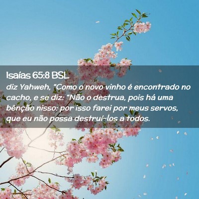 Picture 02 - Isaías 65:8 BSL - diz Yahweh, “Como o novo vinho é encontrado no - Bible Verse Picture