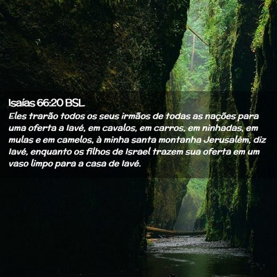 Picture 02 - Isaías 66:20 BSL - Eles trarão todos os seus irmãos de todas as - Bible Verse Picture