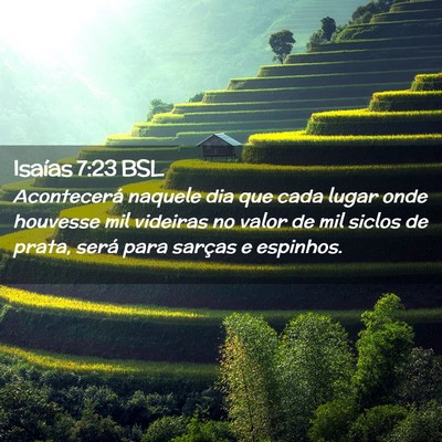 Picture 02 - Isaías 7:23 BSL - Acontecerá naquele dia que cada lugar onde - Bible Verse Picture