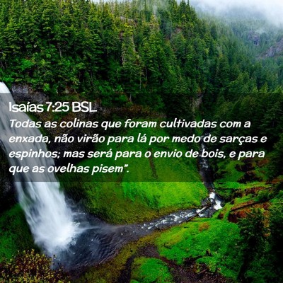 Picture 02 - Isaías 7:25 BSL - Todas as colinas que foram cultivadas com a - Bible Verse Picture