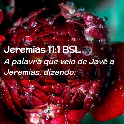 Picture 02 - Jeremias 11:1 BSL - A palavra que veio de Javé a Jeremias, - Bible Verse Picture