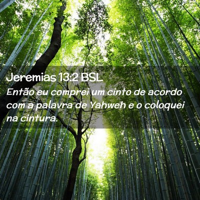 Picture 02 - Jeremias 13:2 BSL - Então eu comprei um cinto de acordo com a - Bible Verse Picture