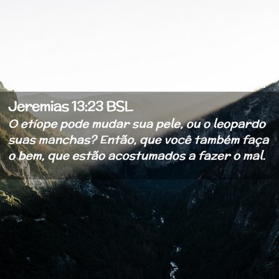 Picture 02 - Jeremias 13:23 BSL - O etíope pode mudar sua pele, ou o leopardo suas - Bible Verse Picture