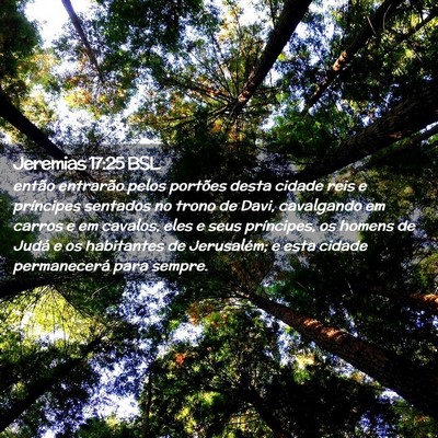 Picture 02 - Jeremias 17:25 BSL - então entrarão pelos portões desta cidade reis - Bible Verse Picture
