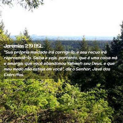 Picture 02 - Jeremias 2:19 BSL - “Sua própria maldade irá corrigi-lo, e seu - Bible Verse Picture