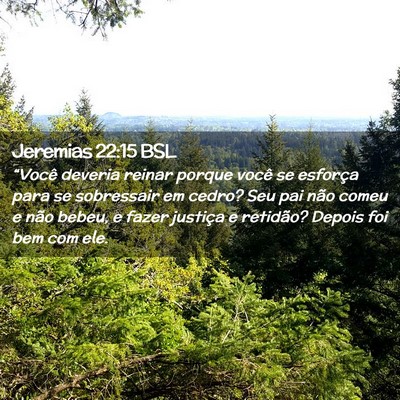 Picture 02 - Jeremias 22:15 BSL - “Você deveria reinar porque você se esforça - Bible Verse Picture
