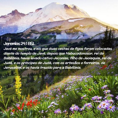 Picture 02 - Jeremias 24:1 BSL - Javé me mostrou, e eis que duas cestas de figos - Bible Verse Picture
