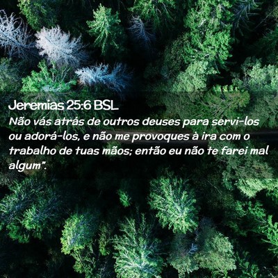 Picture 02 - Jeremias 25:6 BSL - Não vás atrás de outros deuses para servi-los - Bible Verse Picture