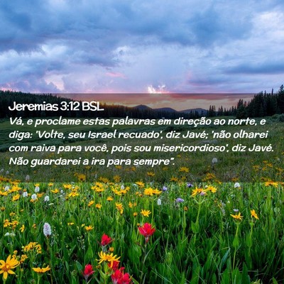 Picture 02 - Jeremias 3:12 BSL - Vá, e proclame estas palavras em direção ao - Bible Verse Picture