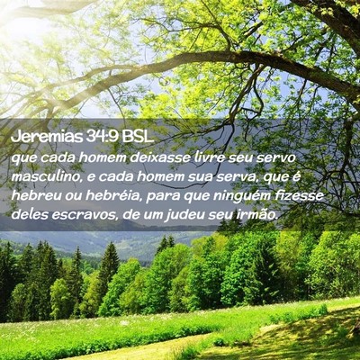 Picture 02 - Jeremias 34:9 BSL - que cada homem deixasse livre seu servo - Bible Verse Picture