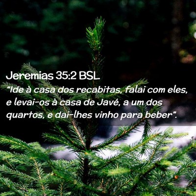 Picture 02 - Jeremias 35:2 BSL - “Ide à casa dos recabitas, falai com eles, e - Bible Verse Picture