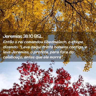 Picture 02 - Jeremias 38:10 BSL - Então o rei comandou Ebedmelech, o etíope, - Bible Verse Picture