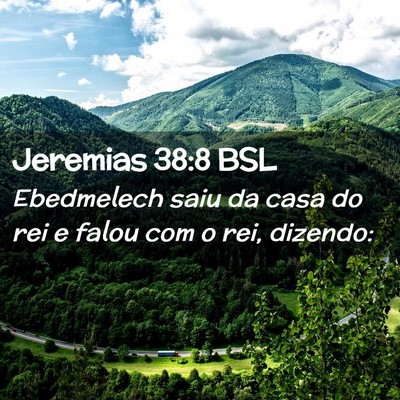 Picture 02 - Jeremias 38:8 BSL - Ebedmelech saiu da casa do rei e falou com o rei, - Bible Verse Picture