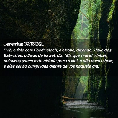 Picture 02 - Jeremias 39:16 BSL - “ Vá, e fale com Ebedmelech, o etíope, - Bible Verse Picture