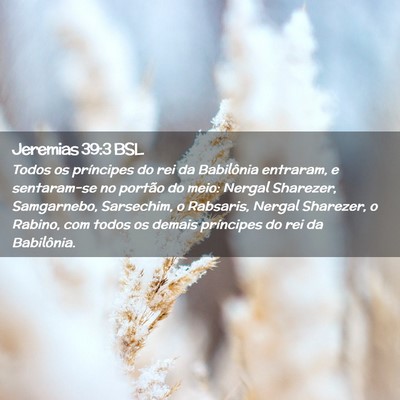 Picture 02 - Jeremias 39:3 BSL - Todos os príncipes do rei da Babilônia - Bible Verse Picture