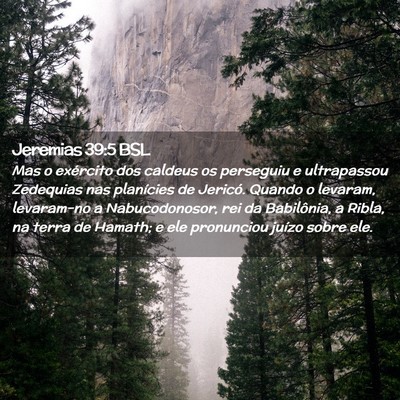 Picture 02 - Jeremias 39:5 BSL - Mas o exército dos caldeus os perseguiu e - Bible Verse Picture