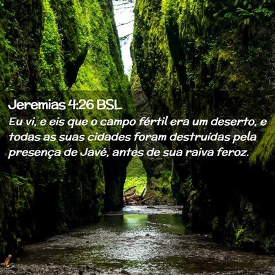 Picture 02 - Jeremias 4:26 BSL - Eu vi, e eis que o campo fértil era um deserto, - Bible Verse Picture