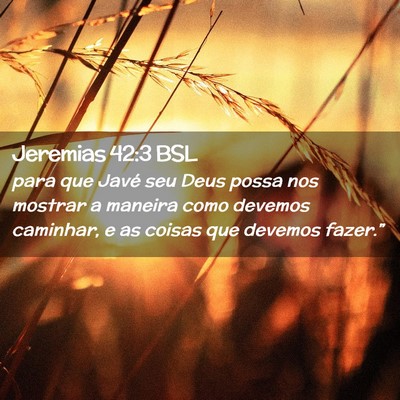 Picture 02 - Jeremias 42:3 BSL - para que Javé seu Deus possa nos mostrar a - Bible Verse Picture