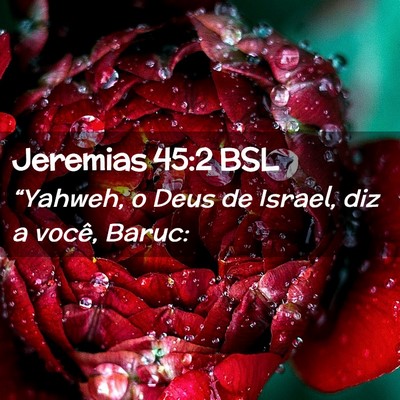 Picture 02 - Jeremias 45:2 BSL - “Yahweh, o Deus de Israel, diz a você, - Bible Verse Picture