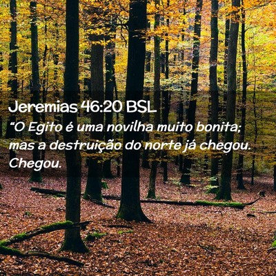 Picture 02 - Jeremias 46:20 BSL - “O Egito é uma novilha muito bonita; mas a - Bible Verse Picture