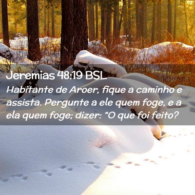 Picture 02 - Jeremias 48:19 BSL - Habitante de Aroer, fique a caminho e assista. - Bible Verse Picture