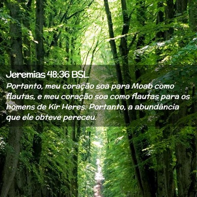 Picture 02 - Jeremias 48:36 BSL - Portanto, meu coração soa para Moab como - Bible Verse Picture