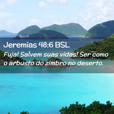 Picture 02 - Jeremias 48:6 BSL - Fuja! Salvem suas vidas! Ser como o arbusto do - Bible Verse Picture