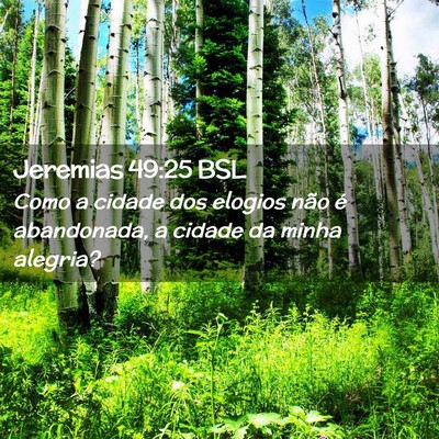Picture 02 - Jeremias 49:25 BSL - Como a cidade dos elogios não é abandonada, a - Bible Verse Picture