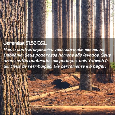 Picture 02 - Jeremias 51:56 BSL - Pois o contratorpedeiro veio sobre ela, mesmo na - Bible Verse Picture