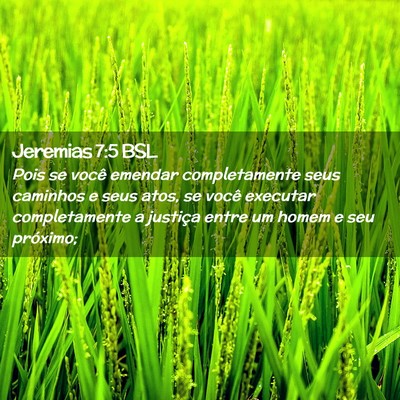 Picture 02 - Jeremias 7:5 BSL - Pois se você emendar completamente seus caminhos - Bible Verse Picture