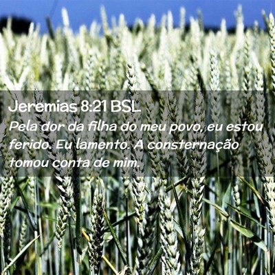 Picture 02 - Jeremias 8:21 BSL - Pela dor da filha do meu povo, eu estou ferido. - Bible Verse Picture