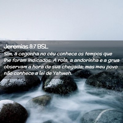 Picture 02 - Jeremias 8:7 BSL - Sim, a cegonha no céu conhece os tempos que lhe - Bible Verse Picture