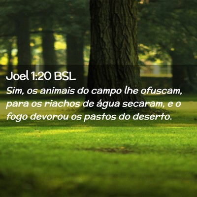 Picture 02 - Joel 1:20 BSL - Sim, os animais do campo lhe ofuscam, para os - Bible Verse Picture