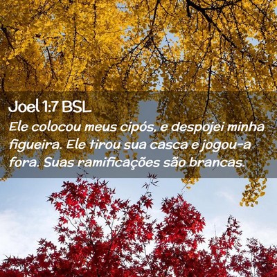 Picture 02 - Joel 1:7 BSL - Ele colocou meus cipós, e despojei minha - Bible Verse Picture